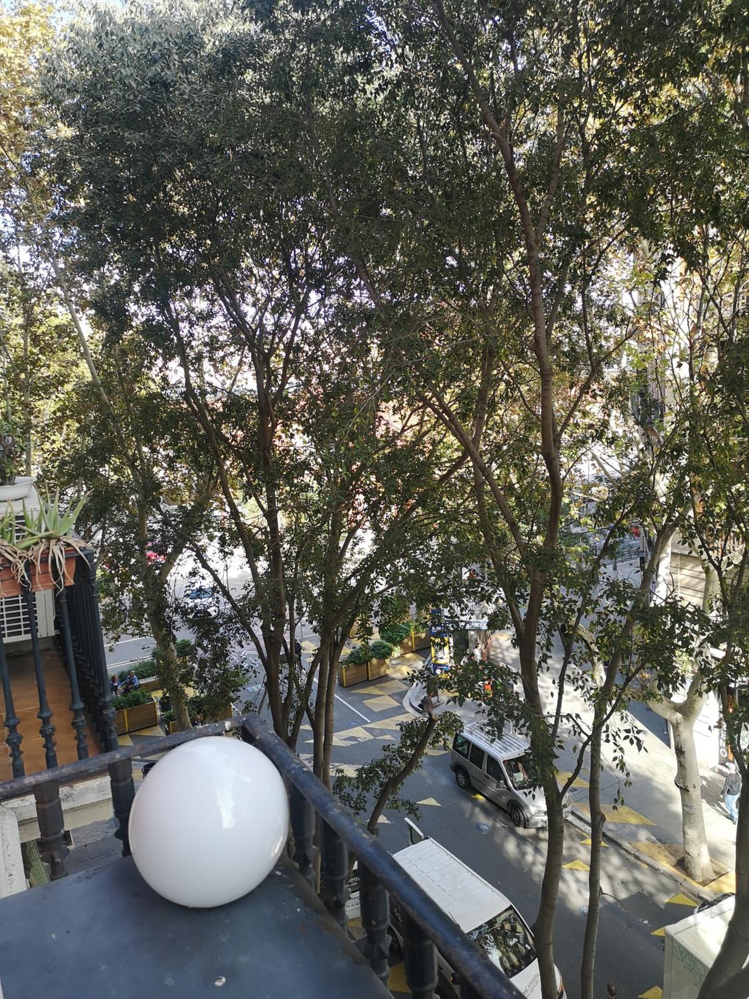 Aparteasy - Family Sant Antoni Apt. 巴塞罗那 外观 照片